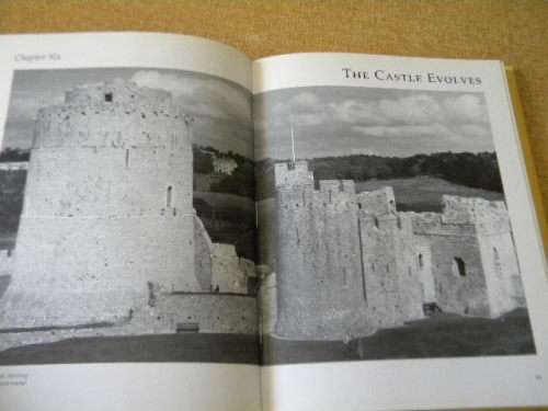 CASTLES and STONGHOLDS  by Richard Muir