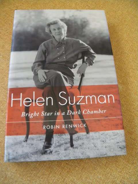 HELEN SUZMAN Bright Star in a Dark Chamber by Robin Renwick