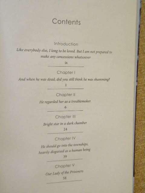 HELEN SUZMAN Bright Star in a Dark Chamber by Robin Renwick