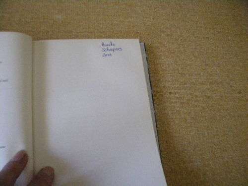 HELEN SUZMAN Bright Star in a Dark Chamber by Robin Renwick