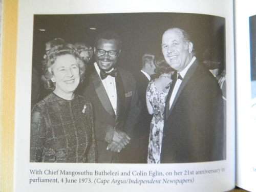 HELEN SUZMAN Bright Star in a Dark Chamber by Robin Renwick