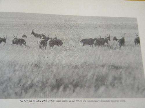 TRICHARDTSFONTEIN  100 JAAR EEUFEES GEDENKBLAD 1879 - 1979  deur J P B Blignaut (GETEKEN)