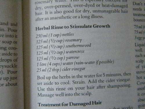 TREASURY OF HERBS  by Margaret Roberts