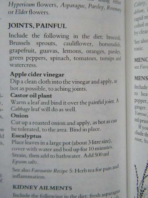 TREASURY OF HERBS  by Margaret Roberts