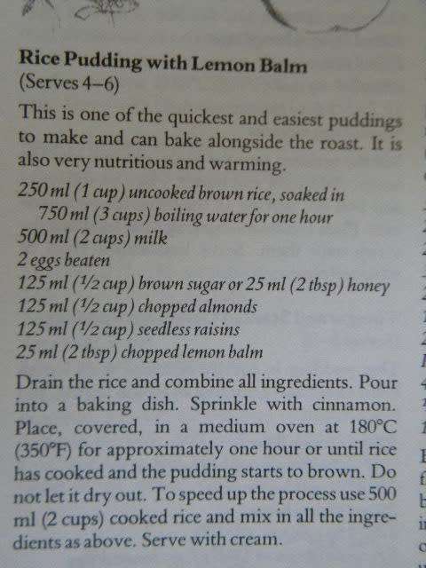 TREASURY OF HERBS  by Margaret Roberts