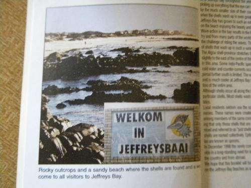 THE SEA SHELLS OF JEFFREYS BAY  by Douw G. Steyn & Elize J. Steyn