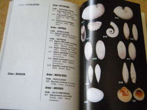 THE SEA SHELLS OF JEFFREYS BAY  by Douw G. Steyn & Elize J. Steyn