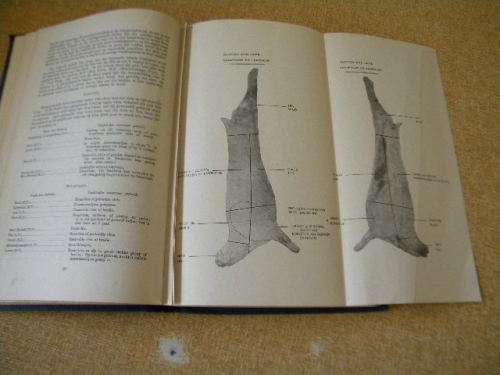KOS EN KO0KKUNS  Departement van Landbou (Uitbreidingsreeks No.11) Pamflet No.115