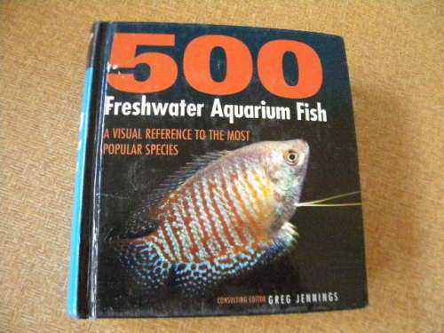 500 FRESHWATER AQUARIUM FISH  by Greg Jennings