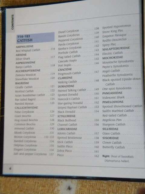 500 FRESHWATER AQUARIUM FISH  by Greg Jennings