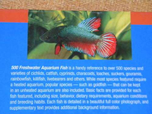 500 FRESHWATER AQUARIUM FISH  by Greg Jennings