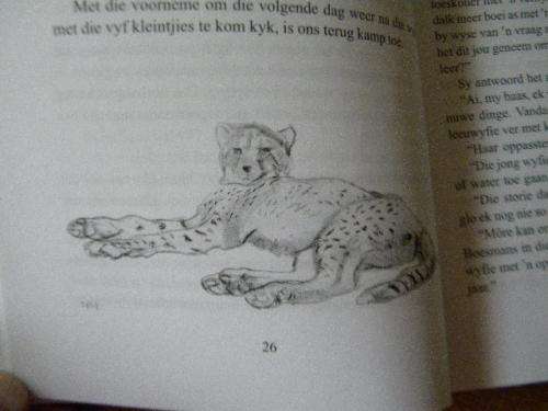 UIT DIE DAGBOEK VAN `N WILDBEWAARDER  deur P. J. Schoeman