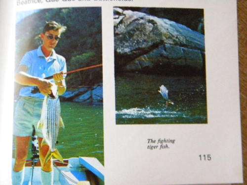 JUMBO GUIDE TO RHODESIA 1972