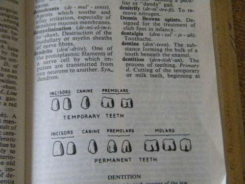 BAILLIERE'S NURSES' DICTIONARY  by Barbara F. Cape