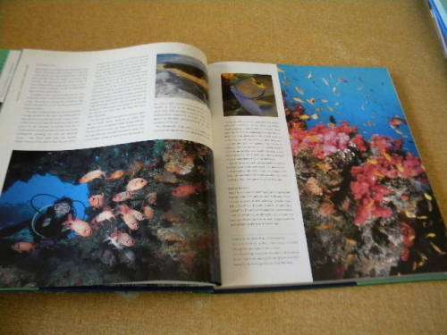 TOP DIVE SITES  OF THE INDIAN OCEAN  Consultant Jack Jackson