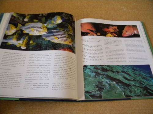 TOP DIVE SITES  OF THE INDIAN OCEAN  Consultant Jack Jackson