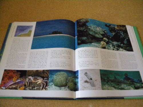 TOP DIVE SITES  OF THE INDIAN OCEAN  Consultant Jack Jackson