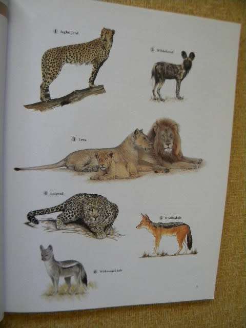 WILDTUINGIDS  Gids tot die Krugerwildtuin  Uitgegee deur Jacana Media