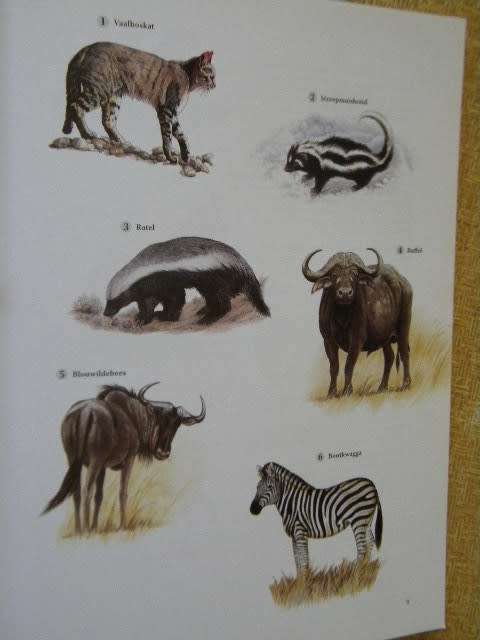 WILDTUINGIDS  Gids tot die Krugerwildtuin  Uitgegee deur Jacana Media