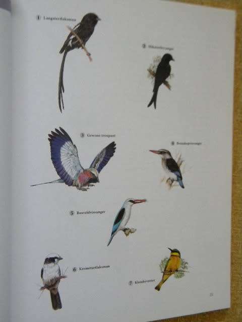 WILDTUINGIDS  Gids tot die Krugerwildtuin  Uitgegee deur Jacana Media