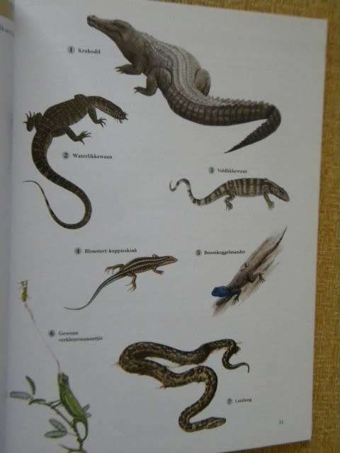 WILDTUINGIDS  Gids tot die Krugerwildtuin  Uitgegee deur Jacana Media