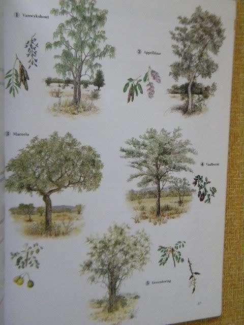 WILDTUINGIDS  Gids tot die Krugerwildtuin  Uitgegee deur Jacana Media