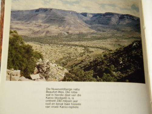 FOSSIELREPTIELE  VAN DIE SUID-AFRIKAANSE KAROO  deur M. A. Clover