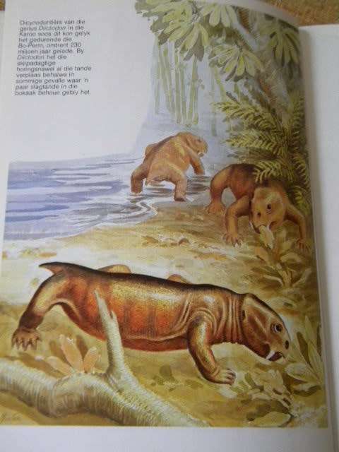 FOSSIELREPTIELE  VAN DIE SUID-AFRIKAANSE KAROO  deur M. A. Clover