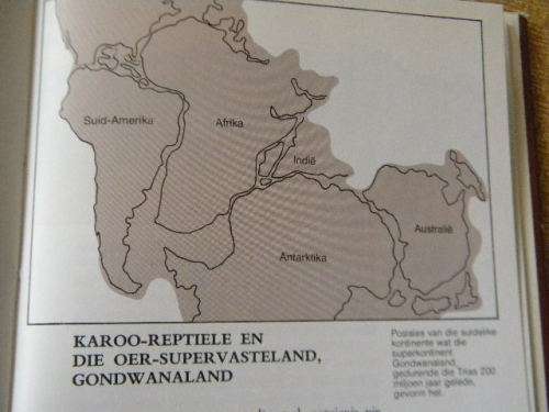 FOSSIELREPTIELE  VAN DIE SUID-AFRIKAANSE KAROO  deur M. A. Clover