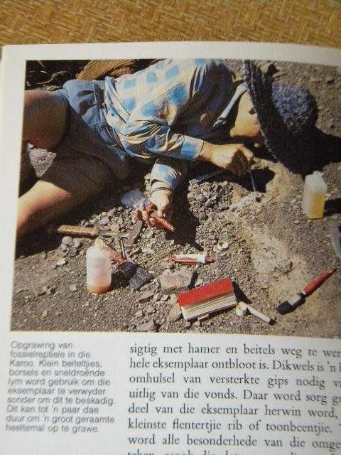 FOSSIELREPTIELE  VAN DIE SUID-AFRIKAANSE KAROO  deur M. A. Clover