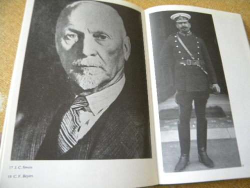 DIE BITTEREINDERS 1901 - 1902  by M. A. Gronum  (Anglo-Boereoorlog)