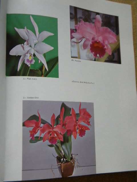 HOME ORCHID GROWING (Third edition)  by Rebecca Tyson Northen