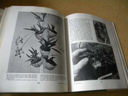 HOME ORCHID GROWING (Third edition)  by Rebecca Tyson Northen