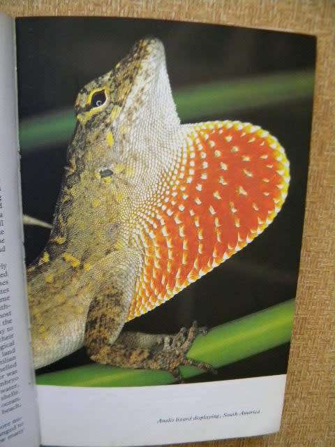 LIFE ON EARTH by David Attenborough