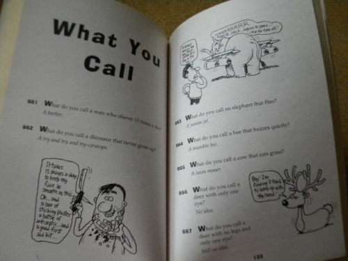 1001 COOL SCHOOL YARD JOKES  with Glen Singleton (Humor)