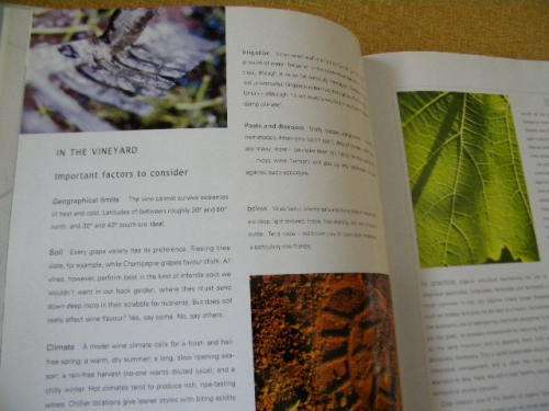 WINE  A comprehensive guide to drinking and appreciating wine  by Julie Arkell