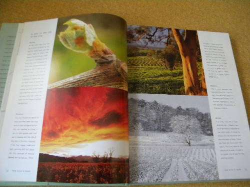 WINE  A comprehensive guide to drinking and appreciating wine  by Julie Arkell