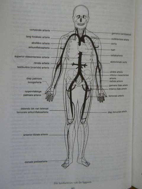 MEDIESE WOORDEBOEK  Vertalend & Verklarend  Uitgegee deur Oxford University Press