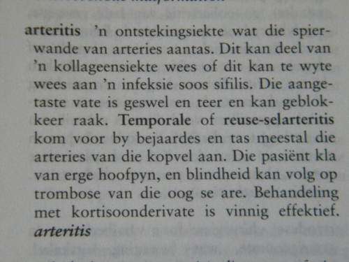 MEDIESE WOORDEBOEK  Vertalend & Verklarend  Uitgegee deur Oxford University Press