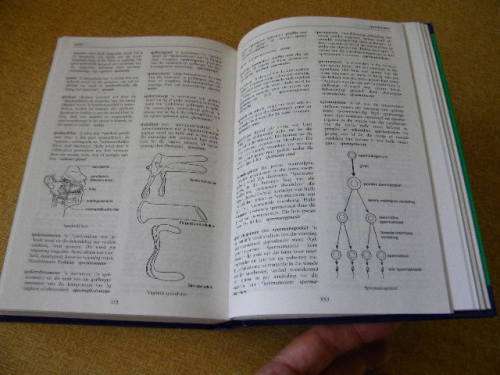 MEDIESE WOORDEBOEK  Vertalend & Verklarend  Uitgegee deur Oxford University Press