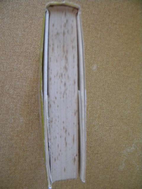 TWEEDEHANDSE LEWENSLOT  deur Heinz G. Konsalik