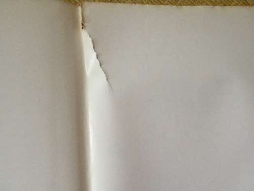 ZAPZAP In Seepunt gaan dit pienk en plesierig deur Jan Harmse  Tekeninge deur Marthinus la Grange