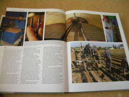 THE COMPLETE BOOK OF SOUTH AFRICAN WINES  by John Kench, Phyllis Hands and David Hughes