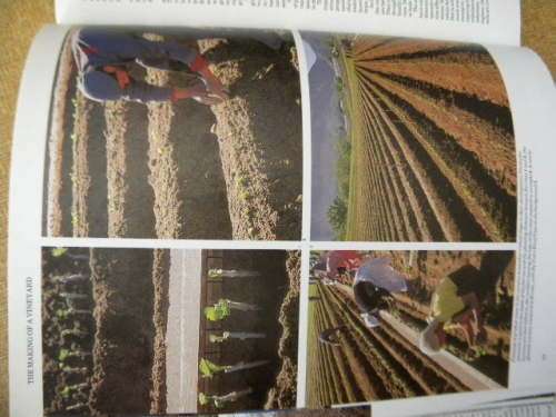 THE COMPLETE BOOK OF SOUTH AFRICAN WINES  by John Kench, Phyllis Hands and David Hughes