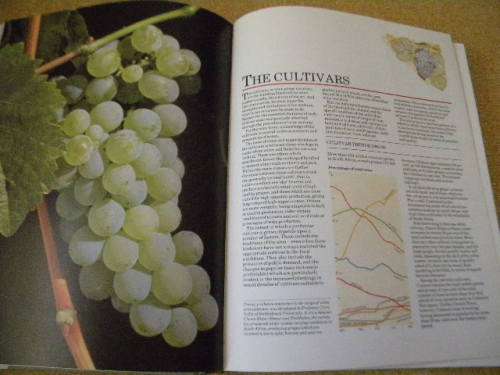 THE COMPLETE BOOK OF SOUTH AFRICAN WINES  by John Kench, Phyllis Hands and David Hughes