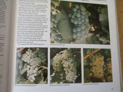 THE COMPLETE BOOK OF SOUTH AFRICAN WINES  by John Kench, Phyllis Hands and David Hughes