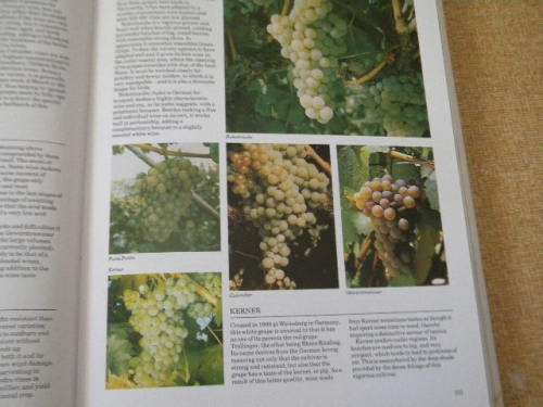 THE COMPLETE BOOK OF SOUTH AFRICAN WINES  by John Kench, Phyllis Hands and David Hughes