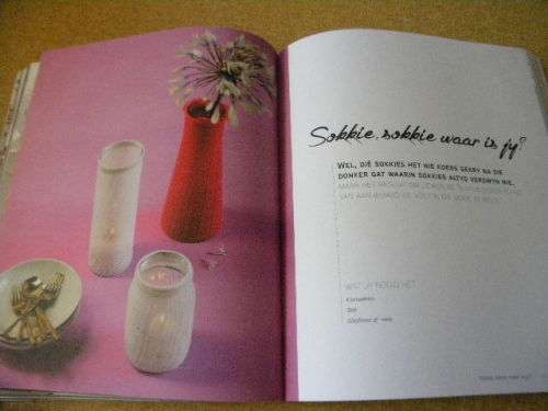 OUGOED WORD HOUGOED  deur Misi Overturf  Foto`s: Adriaan Oosthuizen  ( 50 Upcycling-Projekte)