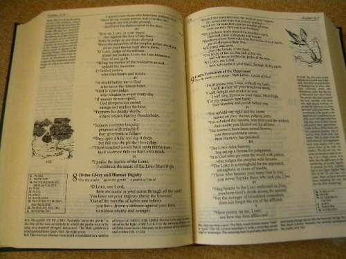 THE AFRICAN BIBLE  Paulines Publications