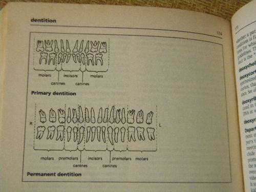OXFORD CONCISE MEDICAL DICTIONARY